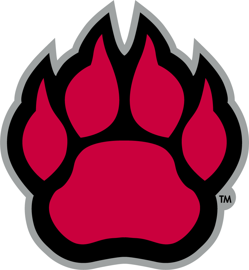 Northern Illinois Huskies 2001-2011 Secondary Logo diy iron on heat transfer